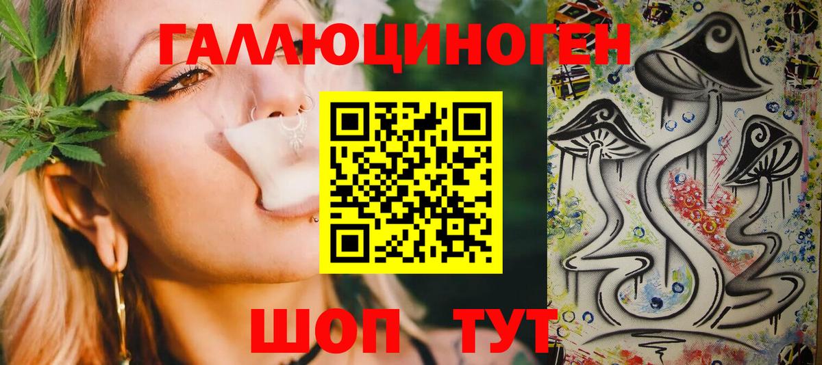 Галлюциногенные грибы Psilocybe Заринск