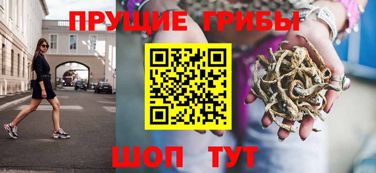 Галлюциногенные грибы прущие грибы  Псилоцибиновые грибы Magic Shrooms  Заринск  Вход с VPN 