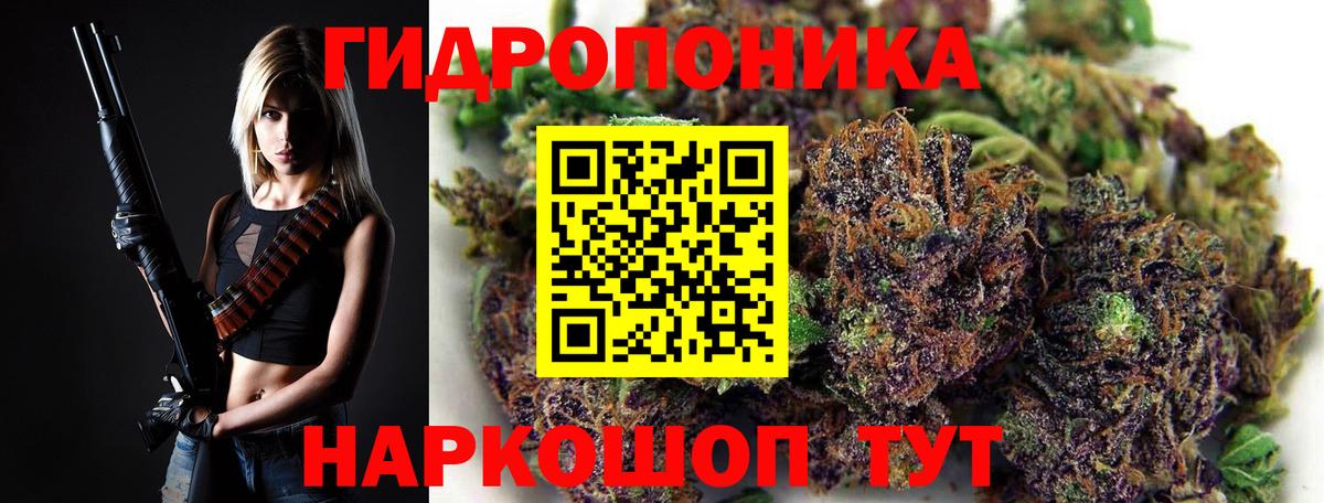 Бошки марихуана OG Kush  Вход с VPN  Конопля сатива  Бошки марихуана план  Заринск 